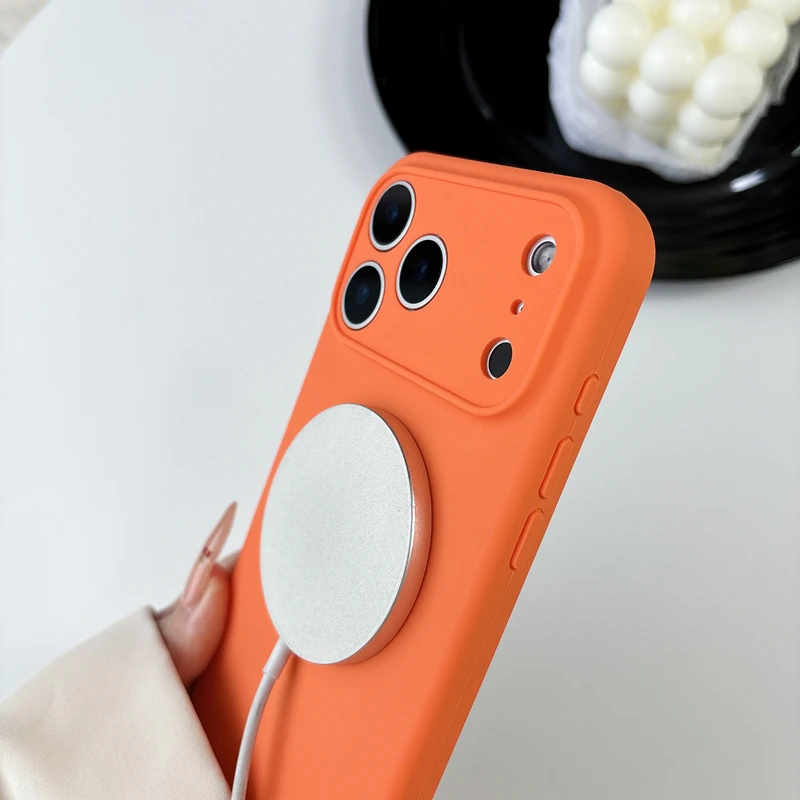Solid Color Official Liquid Si - Magsafe Wireless Charger 评论和价格